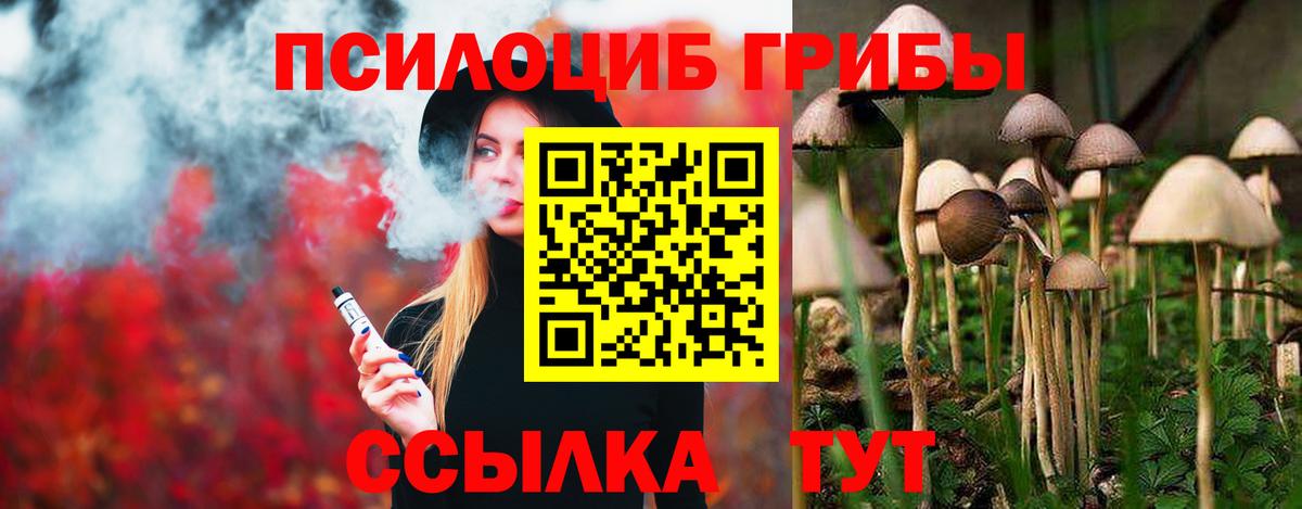 Псилоцибиновые грибы Psilocybine cubensis  Псилоцибиновые грибы Psilocybine cubensis  Вход с VPN  Южноуральск 